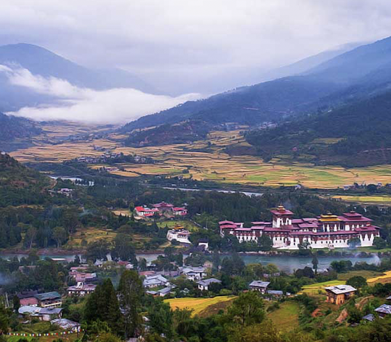 Towards Ancient capital, Punakha Valley (1,300m/4,500ft)